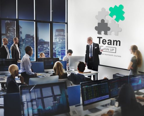 building an effective team