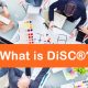 What is DiSC